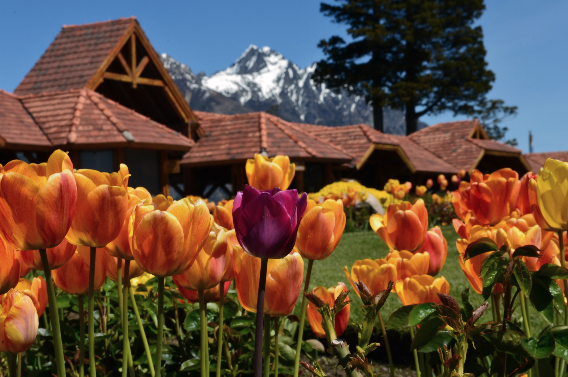 Hotel nature