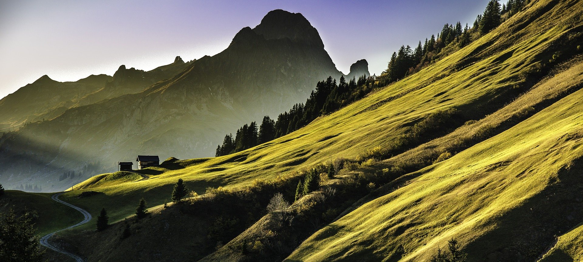Montagne verdoyante