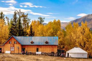 Cabane dans les arbres et yourte face à la sobriété du séjour