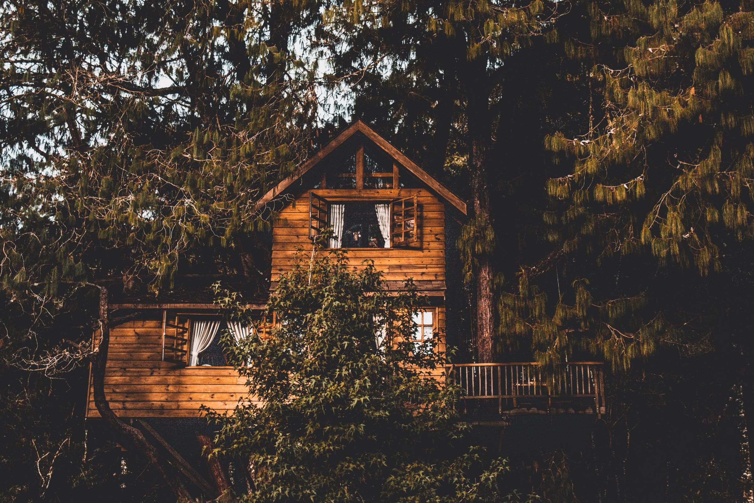 Tous les hébergements écologiques Cabane en bois perchée dans la nature